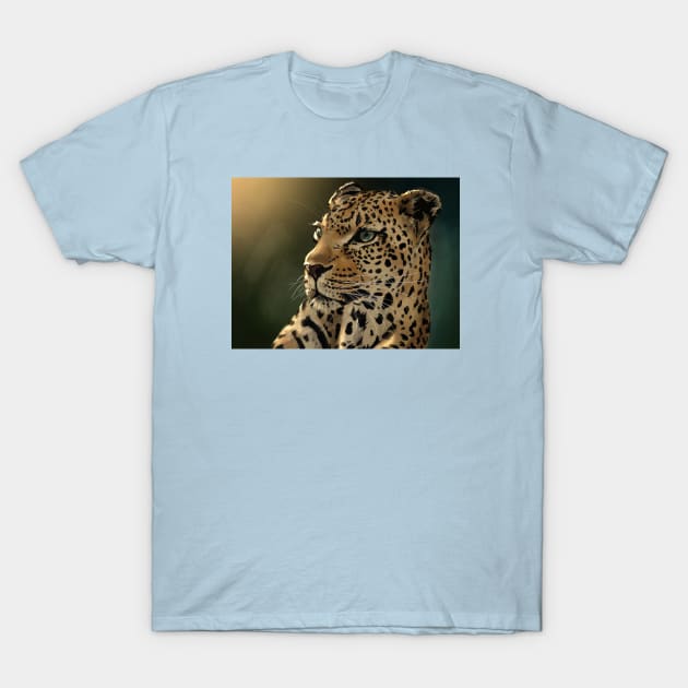 Leopard T-Shirt by covostudio